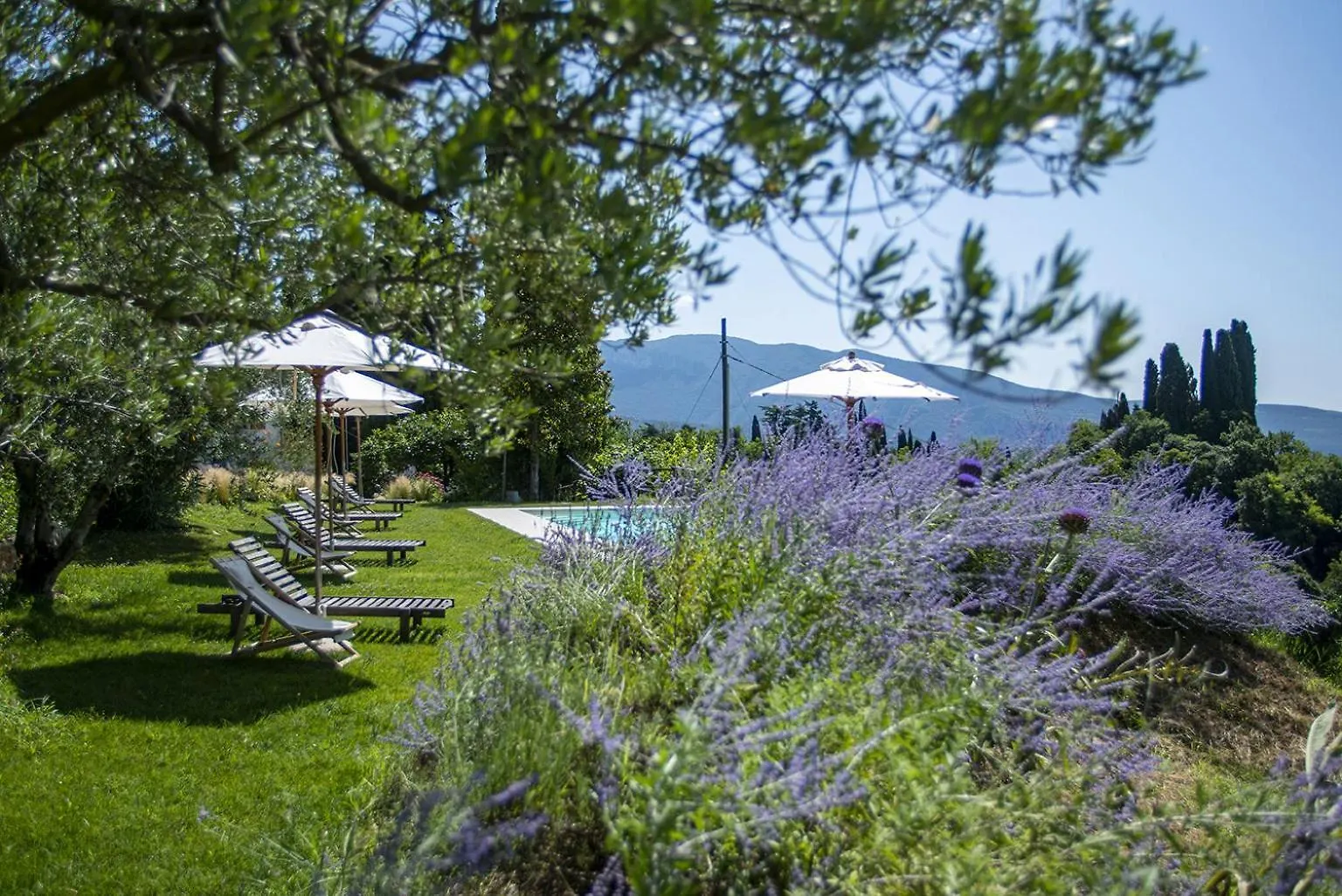 Agriturismo Gaiasofia - Adults Only Caprino Veronese Apartment